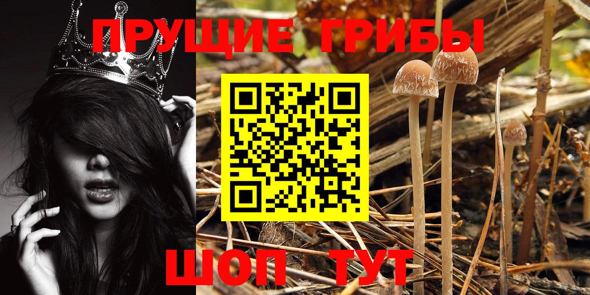 Псилоцибиновые грибы Cubensis  Галлюциногенные грибы Magic Shrooms  Вход с VPN  Усть-Джегута 