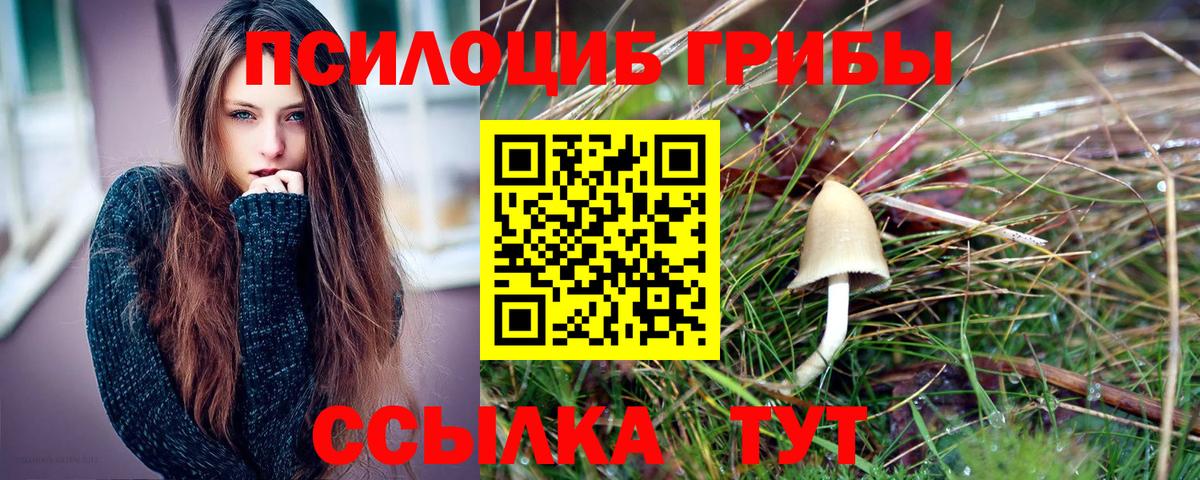Псилоцибиновые грибы Magic Shrooms Усть-Джегута